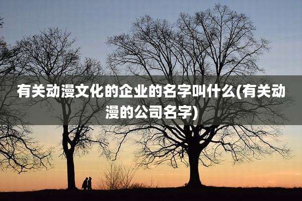 有关动漫文化的企业的名字叫什么(有关动漫的公司名字)