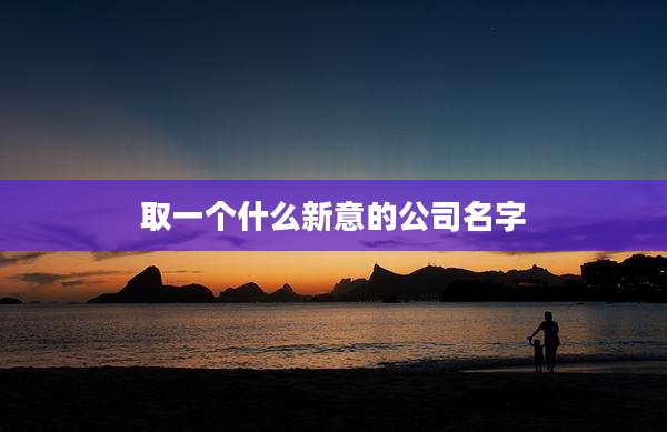 取一个什么新意的公司名字