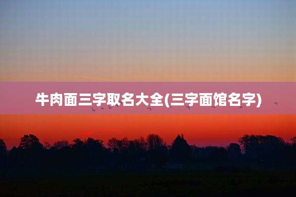 牛肉面三字取名大全(三字面馆名字)