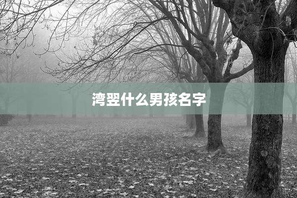 湾翌什么男孩名字