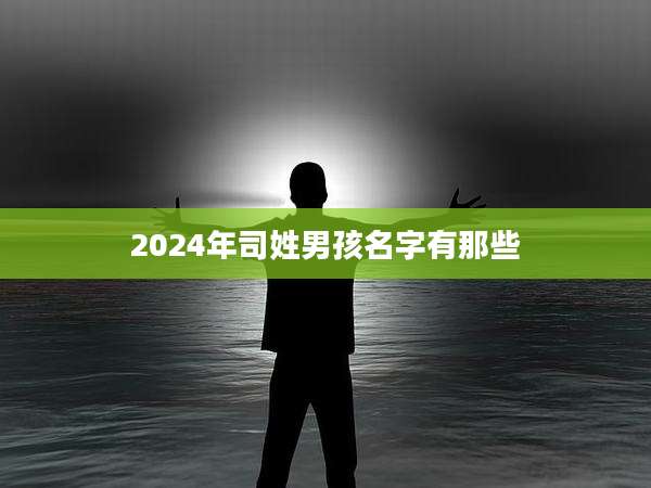 2024年司姓男孩名字有那些