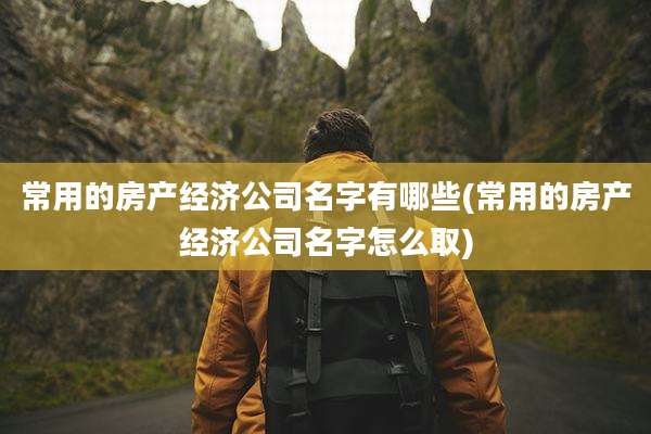 常用的房产经济公司名字有哪些(常用的房产经济公司名字怎么取)