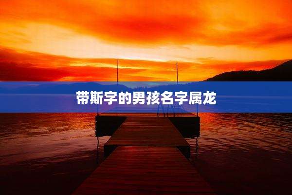 带斯字的男孩名字属龙