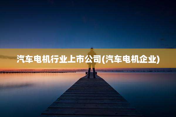 汽车电机行业上市公司(汽车电机企业)