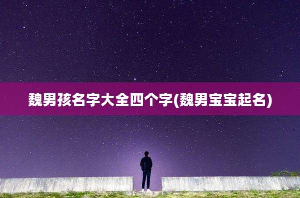 魏男孩名字大全四个字(魏男宝宝起名)