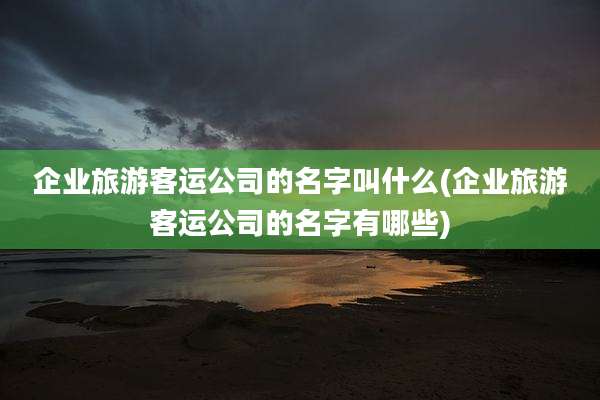 企业旅游客运公司的名字叫什么(企业旅游客运公司的名字有哪些)