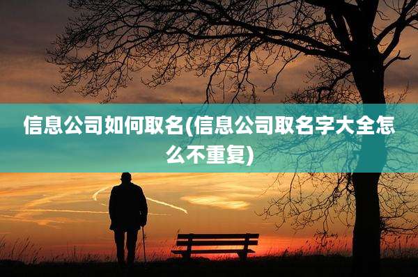 信息公司如何取名(信息公司取名字大全怎么不重复)