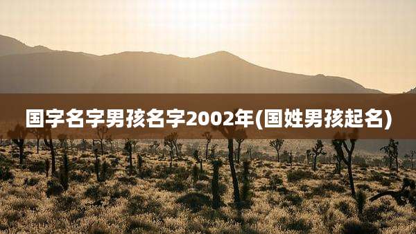 国字名字男孩名字2002年(国姓男孩起名)