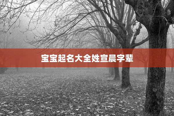 宝宝起名大全姓宣晨字辈
