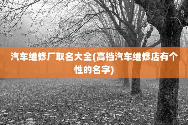 汽车维修厂取名大全(高档汽车维修店有个性的名字)