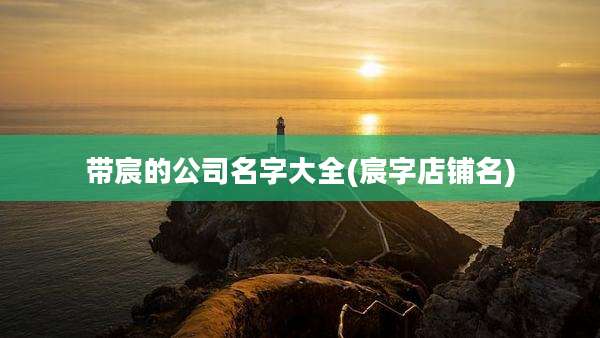 带宸的公司名字大全(宸字店铺名)