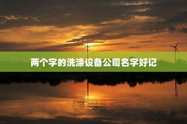 两个字的洗涤设备公司名字好记