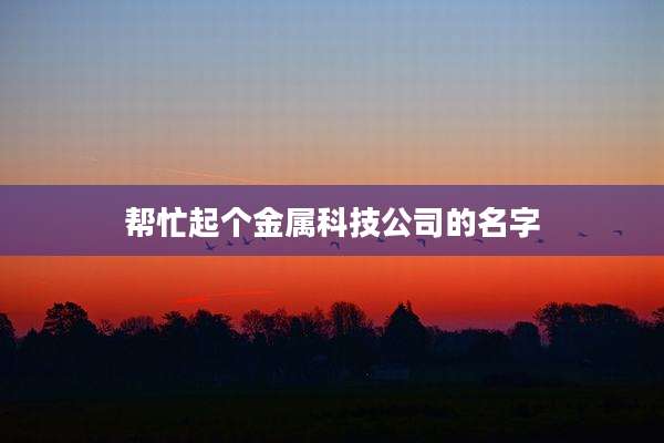 帮忙起个金属科技公司的名字