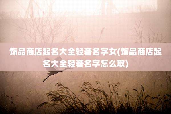 饰品商店起名大全轻奢名字女(饰品商店起名大全轻奢名字怎么取)