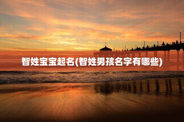 智姓宝宝起名(智姓男孩名字有哪些)
