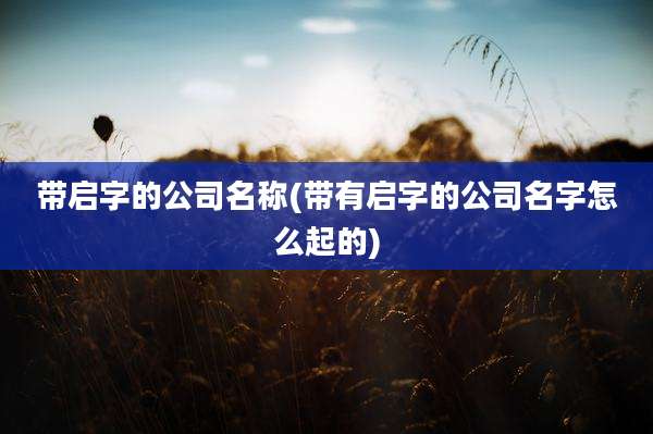 带启字的公司名称(带有启字的公司名字怎么起的)