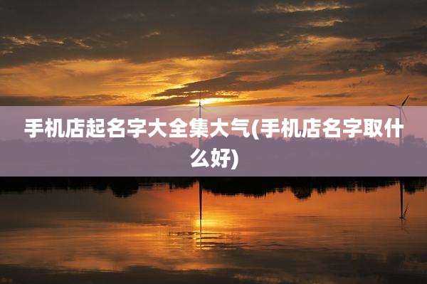 手机店起名字大全集大气(手机店名字取什么好)