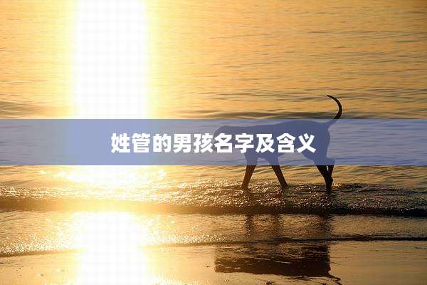 姓管的男孩名字及含义