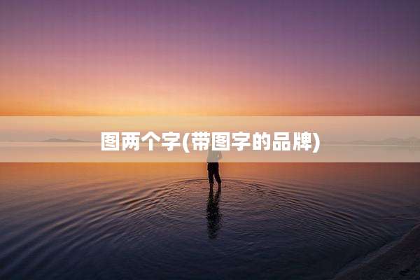 图两个字(带图字的品牌)