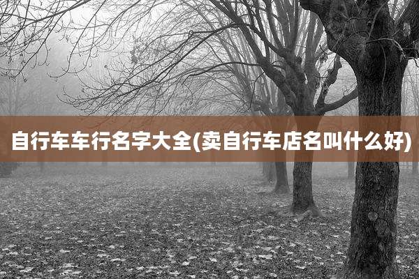 自行车车行名字大全(卖自行车店名叫什么好)
