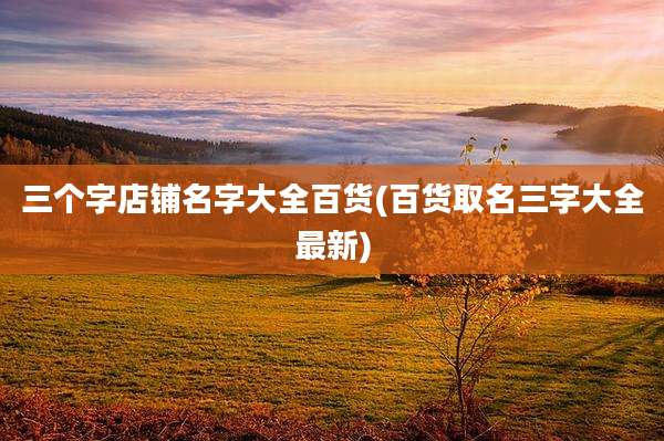 三个字店铺名字大全百货(百货取名三字大全最新)