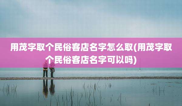 用茂字取个民俗客店名字怎么取(用茂字取个民俗客店名字可以吗)