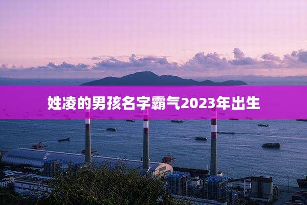 姓凌的男孩名字霸气2023年出生