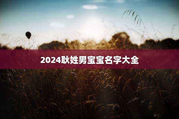 2024耿姓男宝宝名字大全