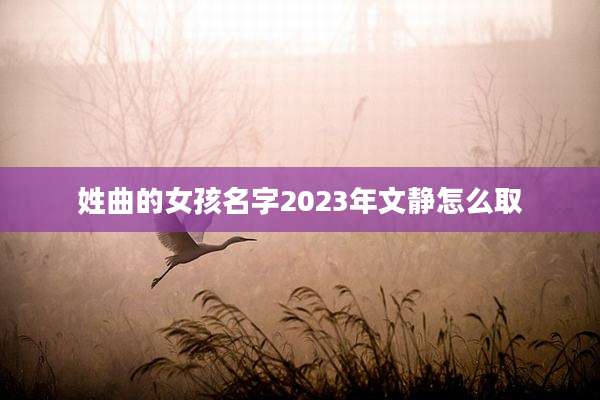 姓曲的女孩名字2023年文静怎么取