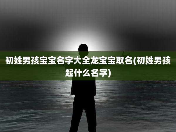 初姓男孩宝宝名字大全龙宝宝取名(初姓男孩起什么名字)