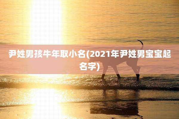 尹姓男孩牛年取小名(2021年尹姓男宝宝起名字)
