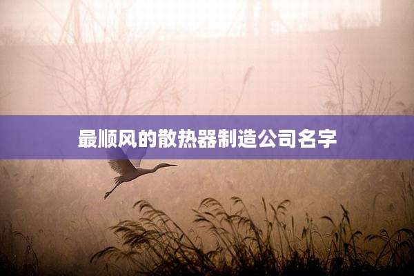 最顺风的散热器制造公司名字