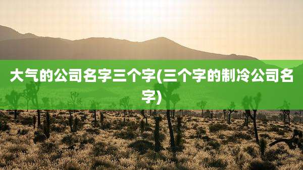 大气的公司名字三个字(三个字的制冷公司名字)