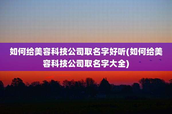 如何给美容科技公司取名字好听(如何给美容科技公司取名字大全)