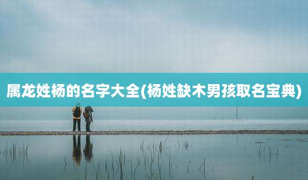 属龙姓杨的名字大全(杨姓缺木男孩取名宝典)