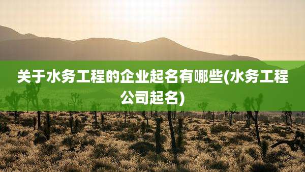 关于水务工程的企业起名有哪些(水务工程公司起名)