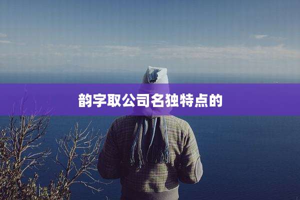 韵字取公司名独特点的