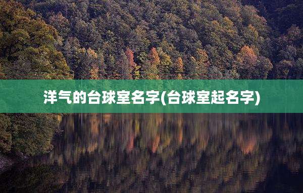 洋气的台球室名字(台球室起名字)