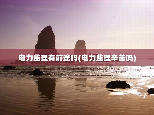 电力监理有前途吗(电力监理辛苦吗)