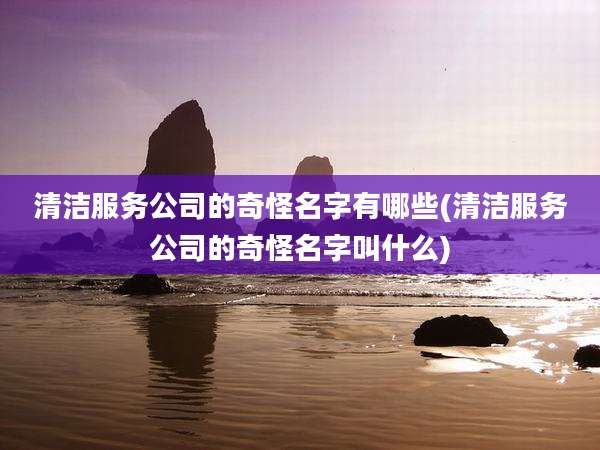 清洁服务公司的奇怪名字有哪些(清洁服务公司的奇怪名字叫什么)