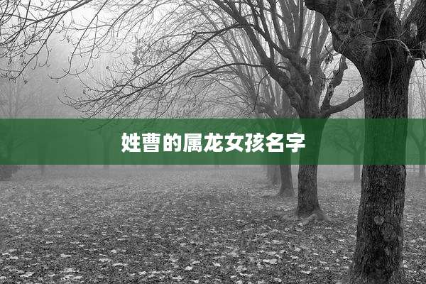 姓曹的属龙女孩名字