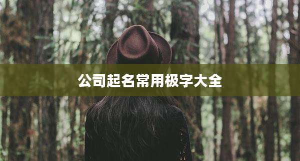 公司起名常用极字大全