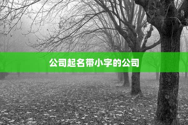 公司起名带小字的公司
