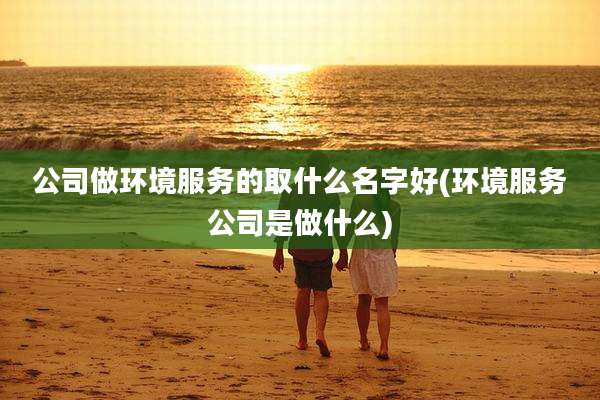 公司做环境服务的取什么名字好(环境服务公司是做什么)