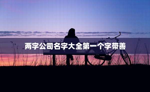 两字公司名字大全第一个字带善