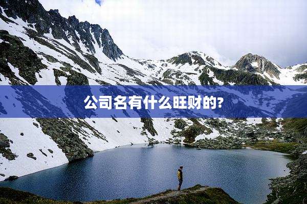 公司名有什么旺财的?