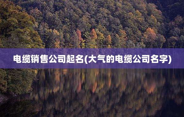 电缆销售公司起名(大气的电缆公司名字)