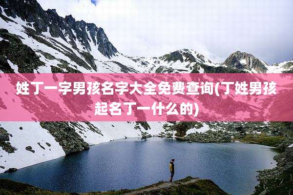姓丁一字男孩名字大全免费查询(丁姓男孩起名丁一什么的)