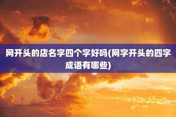 网开头的店名字四个字好吗(网字开头的四字成语有哪些)