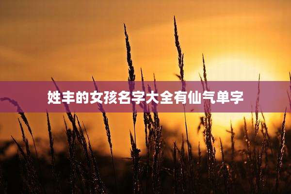 姓丰的女孩名字大全有仙气单字